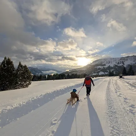 Apartment Ferienwohnung Flumserberg Flumserberg