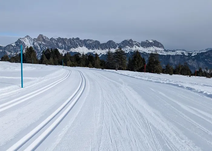Flumserberg, Liftnaehe & Gratis Parkplatz Apartament